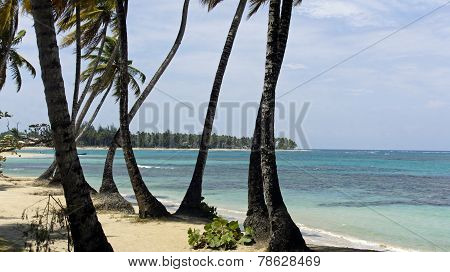 Las Terenas