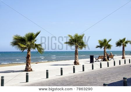 Seaside Avenue 