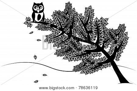 Owl sitting on the tree