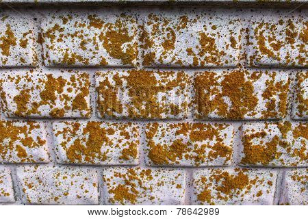 old brick wall