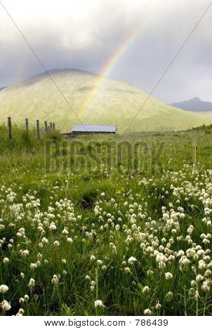 rainbowbarn