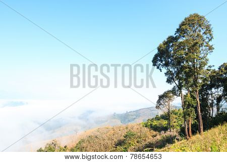 Mountain And Sea Of Fog