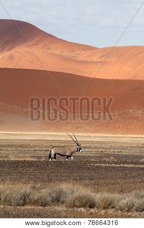 Sossusvlei Park, Namibia