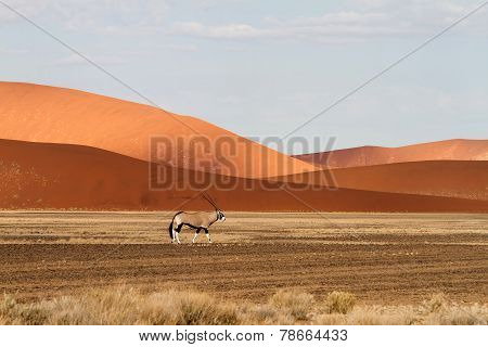 Sossusvlei Park, Namibia