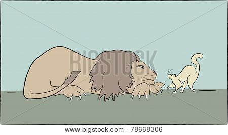 Lion and cat color