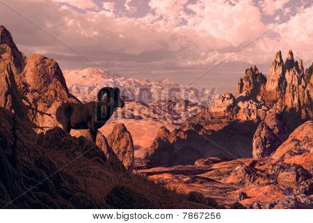 Pecore bighorn