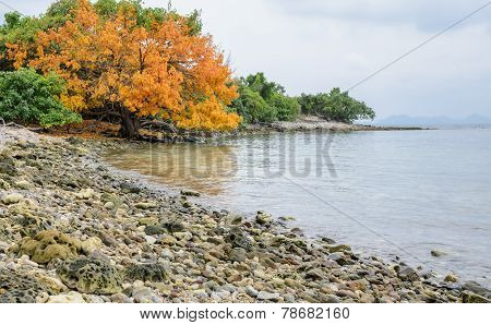 Tropical Beach Rock Shore, Thailand