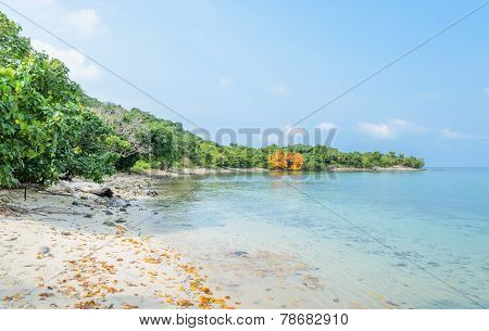 Tropical Beach Rock Shore, Thailand