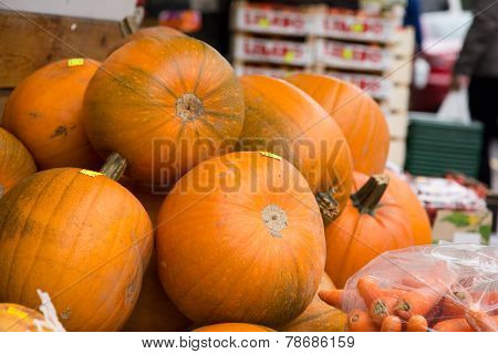 pumpkins