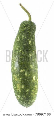 Green Gourd