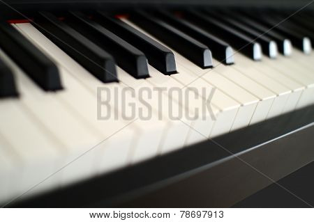 Piano Keyboard Close