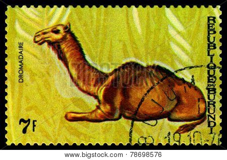 Vintage  Postage Stamp. Animals Burundi, Dromadaire.