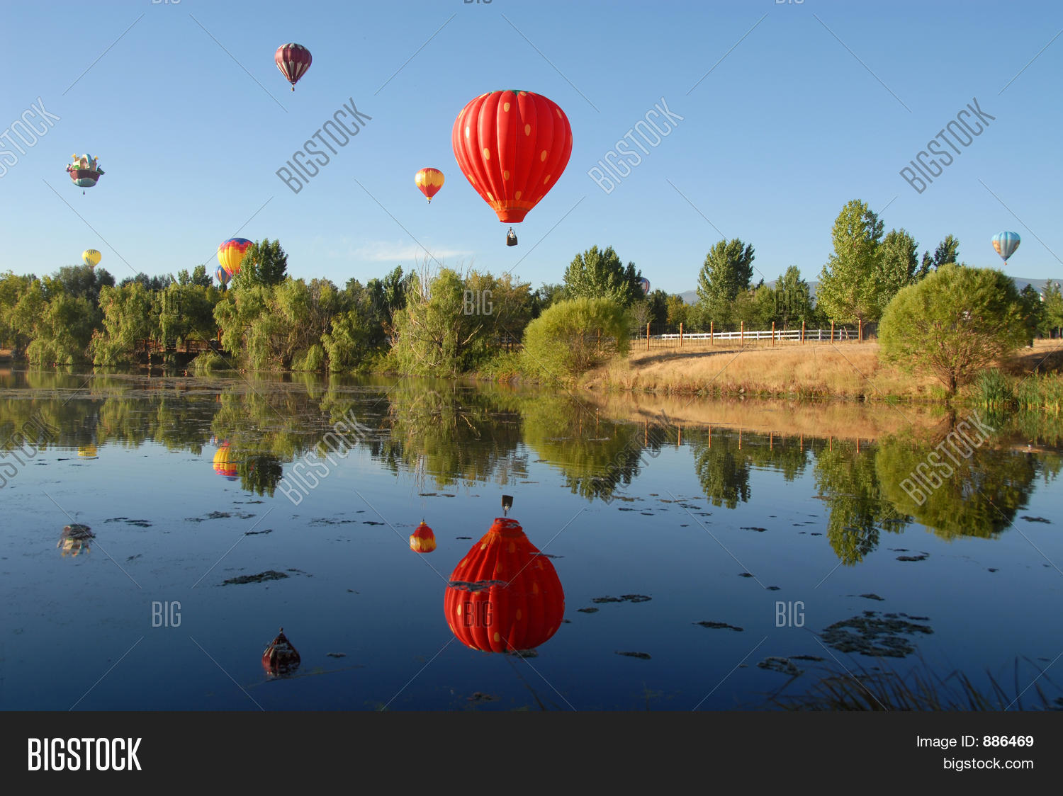 Image Preview