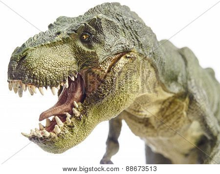 Dinosaur
