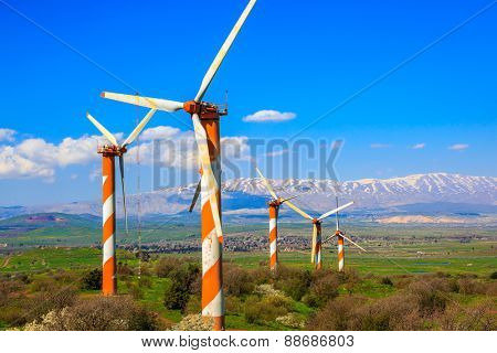 Israel. The blossoming Golan heights in a sunny day. Some huge modern windmills. In the distance snow-covered Hermon is seen