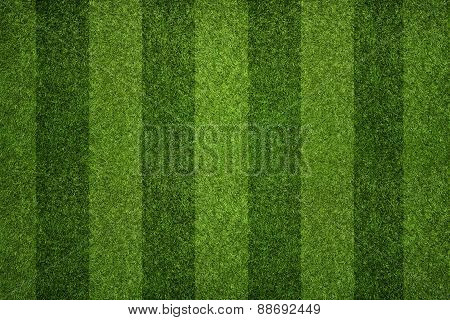 Soccer Field Texture