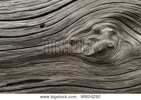 Driftwood