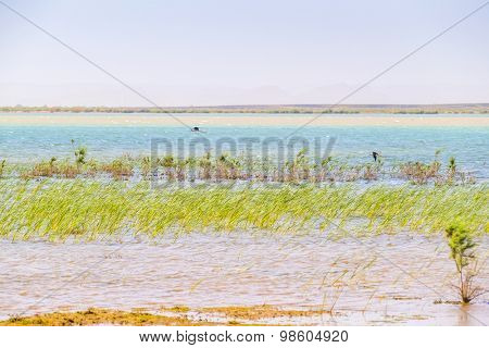Dayet Srji salt lake in Merzouga, Morocco