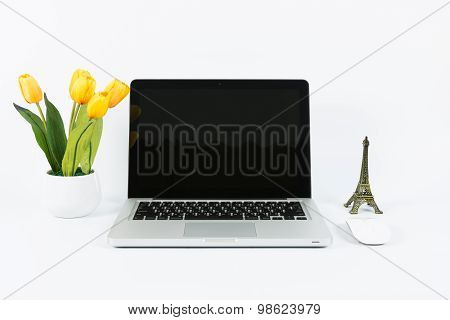 Laptop And Flower Pot Isolate
