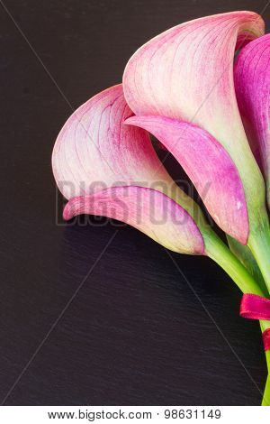 Calla lilly