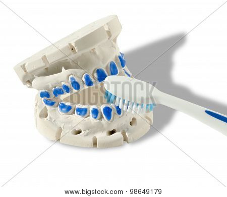 Clean Your Teeth Or Else!