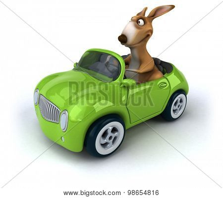 Fun kangaroo