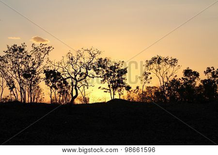 Sunset with pure sky