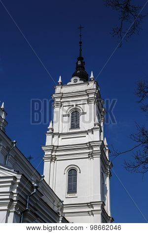 Catholic Cathedral In Ludza