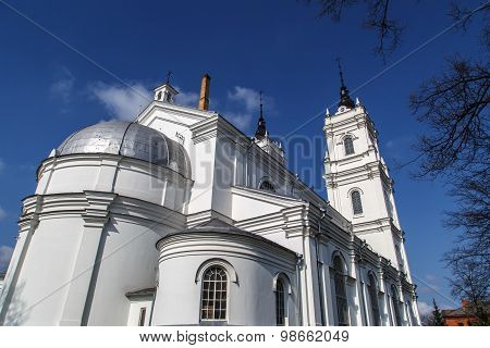 Catholic Cathedral In Ludza