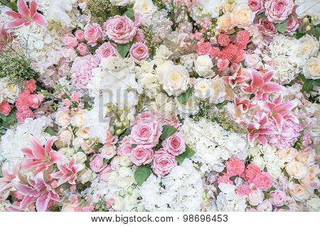 Flora Background