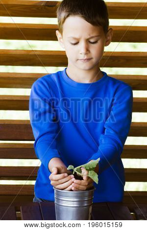 Cute child holding green plant in hands