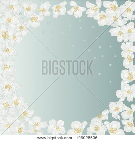 Frame spring blue background with blossoms jasmine and dewdrops vintage vector botanical illustration editable hand draw