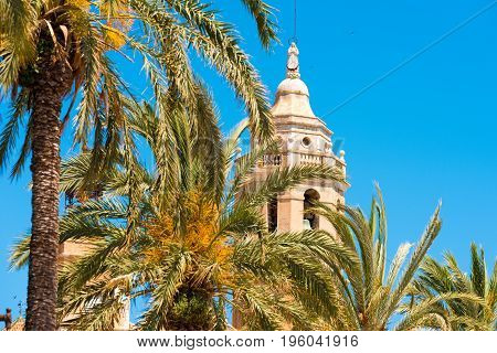 Palm Trees Close-up, In The Background A Tower Of The Church Of Sant Bartomeu And Santa Tecla In Sit