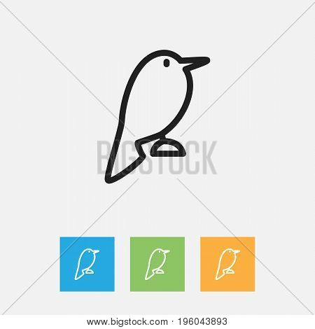 Vector Illustration Of Zoology Symbol On Nightingale Outline