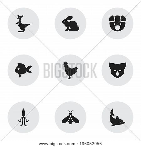 Set Of 9 Editable Zoo Icons. Includes Symbols Such As Turbot, Octopus, Honey And More