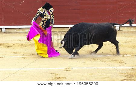 Spanish bullfight. The enraged bull attacks the bullfighter. Spain 2017 07.25.2017. Vinaros Monumental Corrida de toros. Juan Jose Padilla.