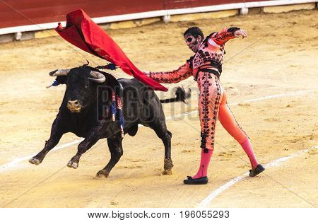 Spanish bullfight. The enraged bull attacks the bullfighter.Spain 2017 07.25.2017. Vinaros Monumental Corrida de toros. Juan Jose Padilla.