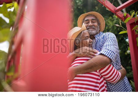 Low angle view of affectionate senior couple embracing while standing by metallic structure in yard