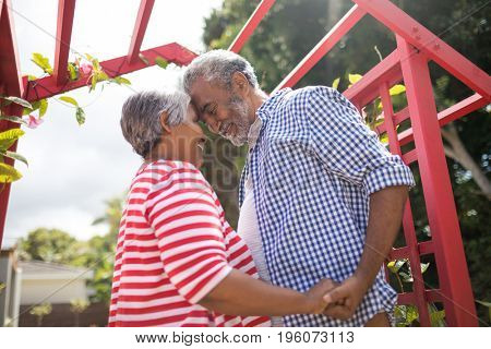 Low angle view of affectionate senior couple standing by metallic structure in yard