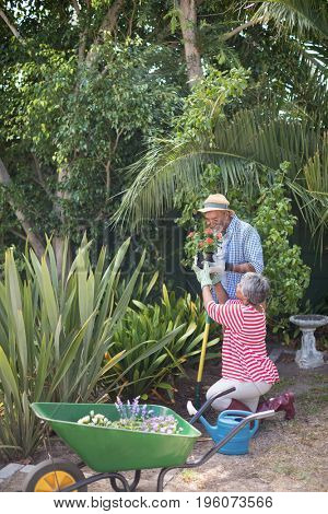 Side view of woman giving flowers to man during plantation in yard