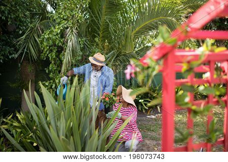 Couple watering plants while gardening in yard