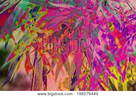 Artistic natural background with plants and bamboo levaes