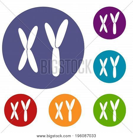 Human chromosomes icons set in flat circle red, blue and green color for web