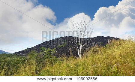 Black mountain near Cooktown North Queensland Australia