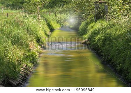 Clear water flows through a beautiful riverine landscape.