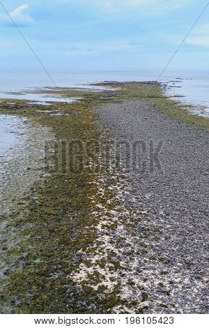 Stony Shore On Gardur In Iceland