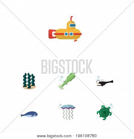 Flat Icon Sea Set Of Alga, Periscope, Cachalot And Other Vector Objects