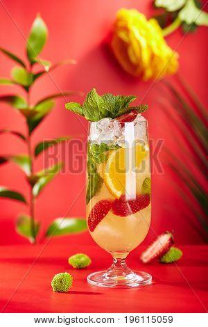 Summer Drink - White Sparkling Sangria. Sangria Drink with Orange, Strawberry and Mint on Bright Red Background. Leaves and Flower on Background