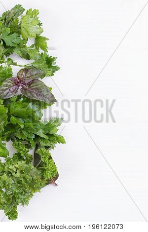 Fresh herbs frame : parsley dill celery thyme marjoram lovage tarragon sage place for text