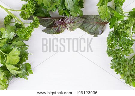 Fresh herbs frame : parsley dill celery thyme marjoram lovage tarragon sage place for text